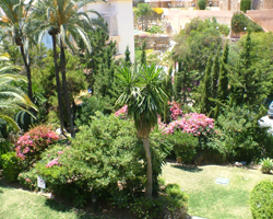 Gardens